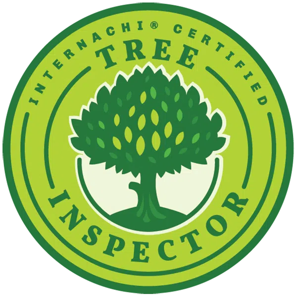 Tree Inspector