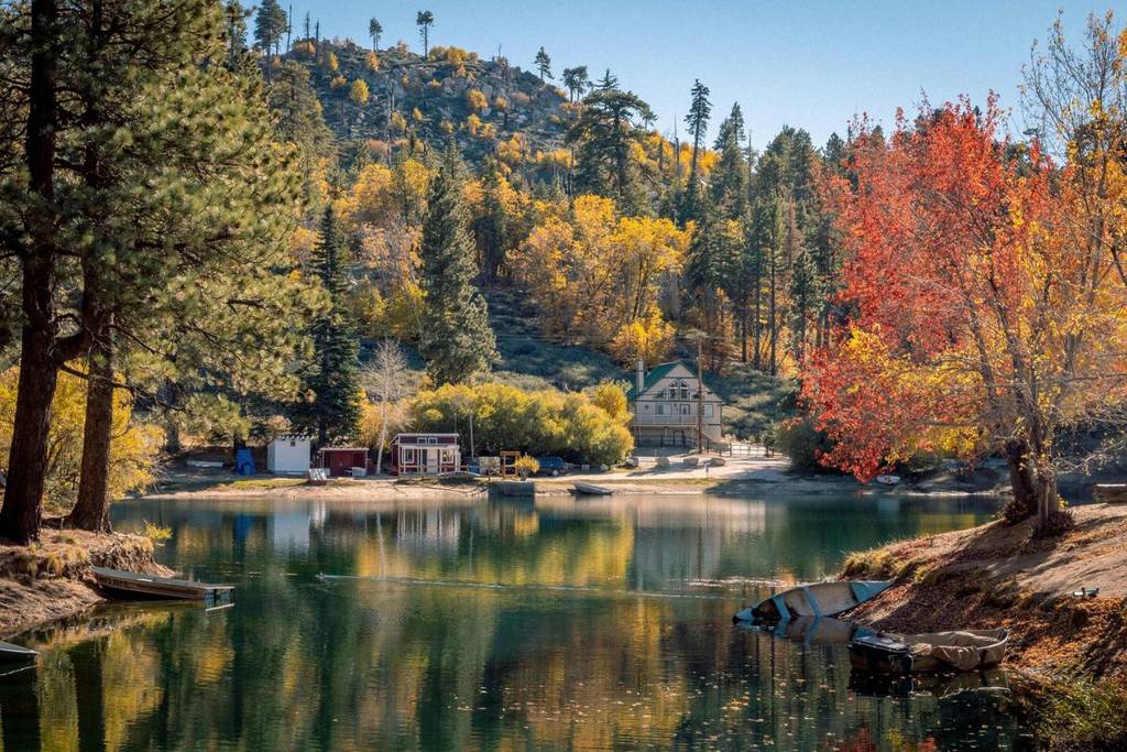Forest and mountain lake in the San Bernardino Mountains