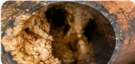 Bellys & Drainage Conditions — sewer camera inspection imagery